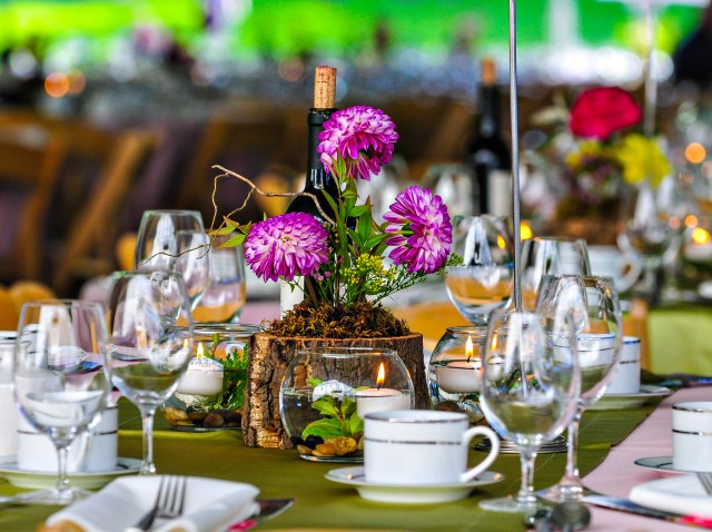 BloedelGardenParty-14-058