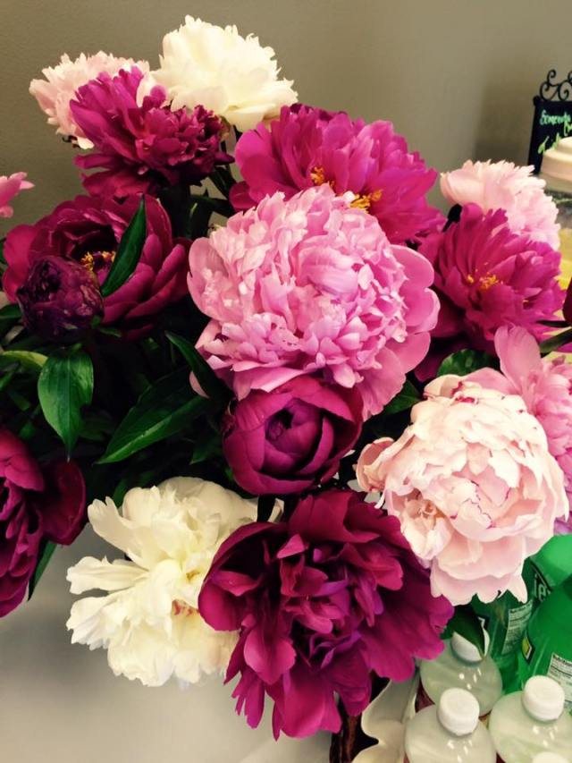 11391210_989791744366221_6827709731068286774_n